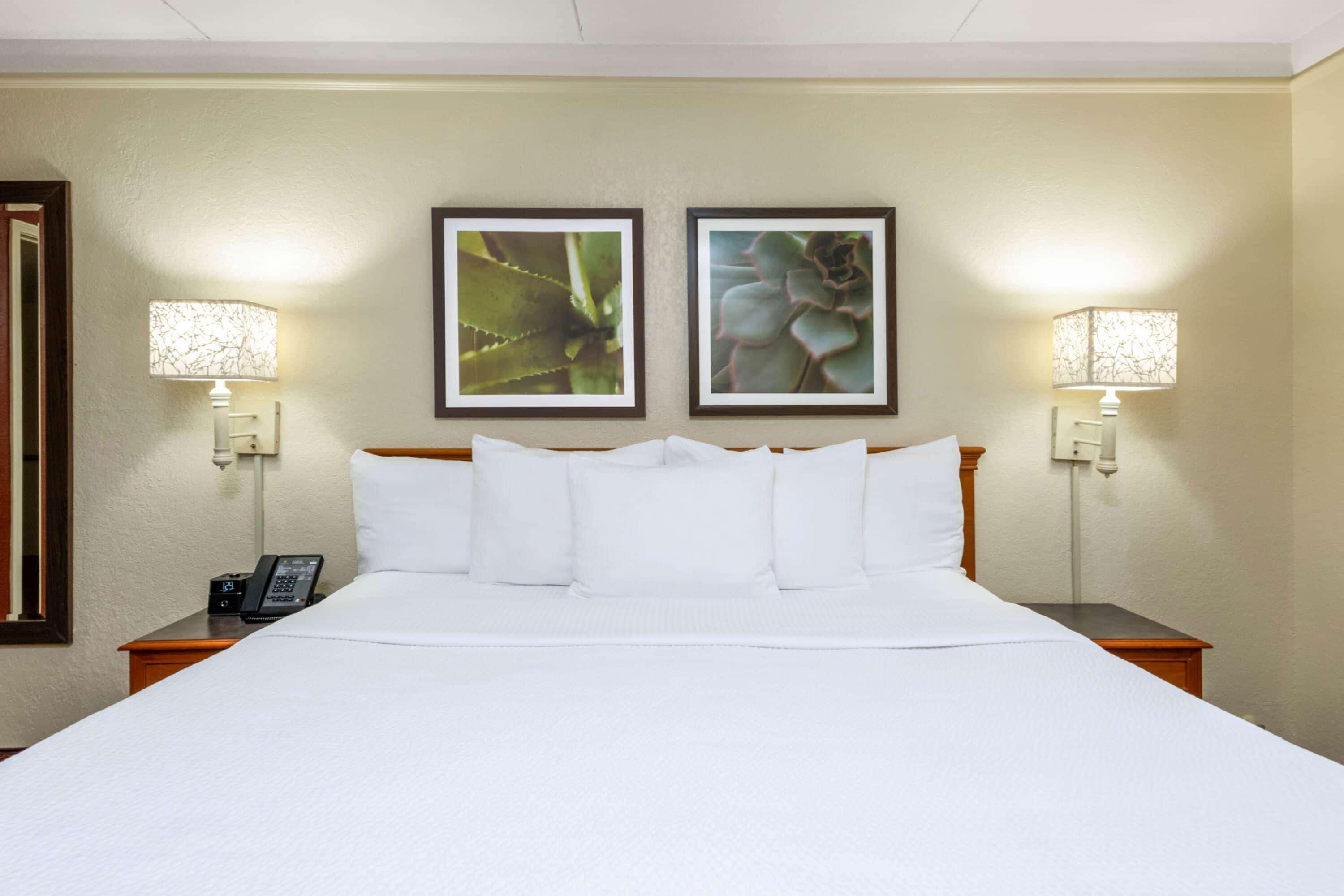 La Quinta East Deerfield Beach - Boca Raton מראה חיצוני תמונה